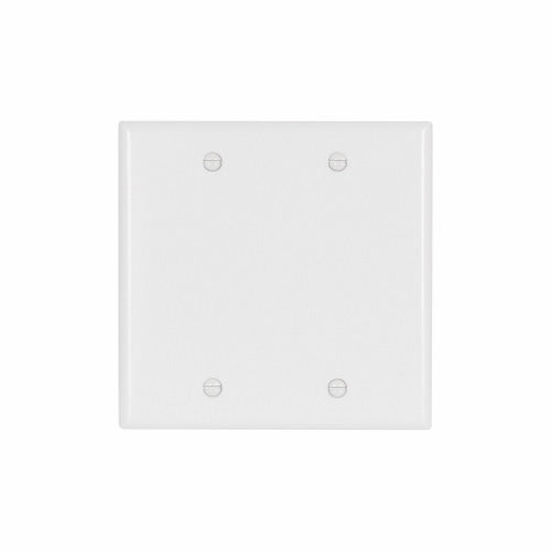 Blank 2G 2137W